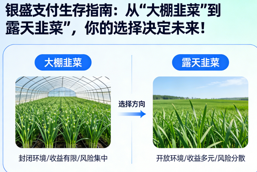 银盛支付生存指南：从“大棚韭菜”到“露天韭菜”，你的选择决定未来！